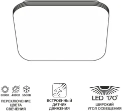 Потолочный светильник Симпла CL714K24SV купить с доставкой по России