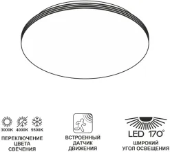 Потолочный светильник Симпла CL71424SV купить с доставкой по России